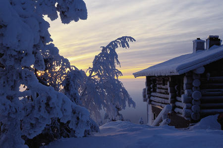 Idylle Hotel Iso-Syöte, schneebedeckte Bäume