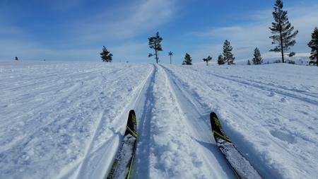 Nationalsport Skilanglauf